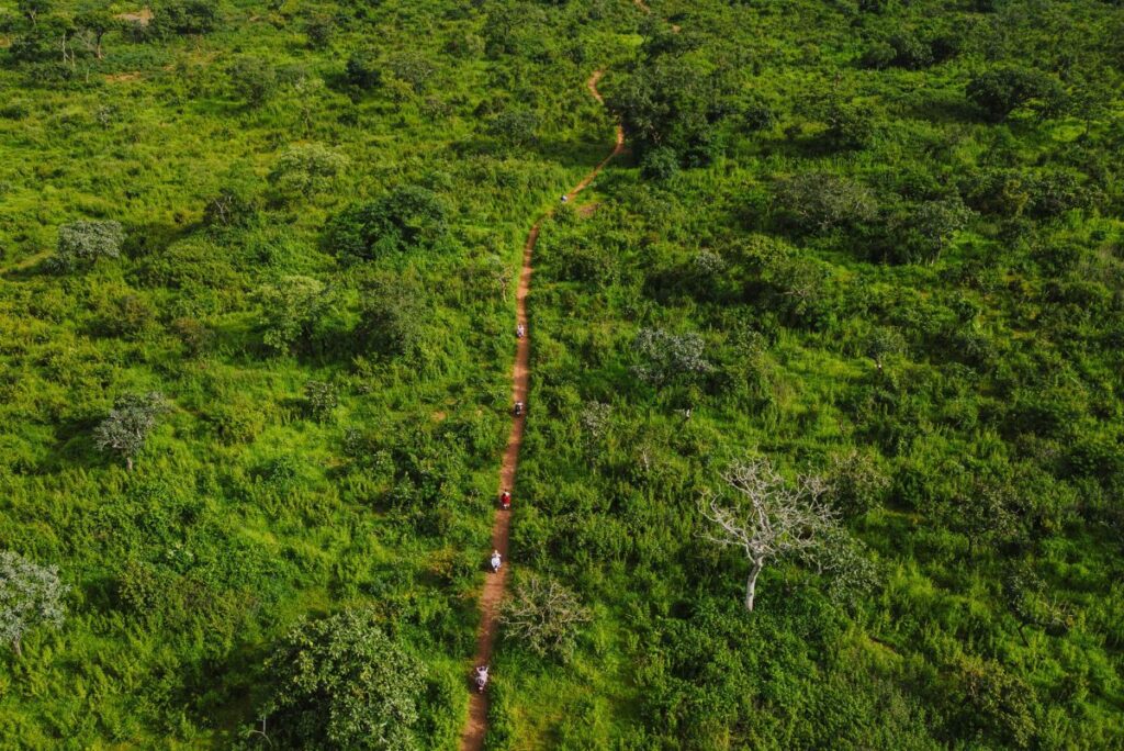 brazil amazon