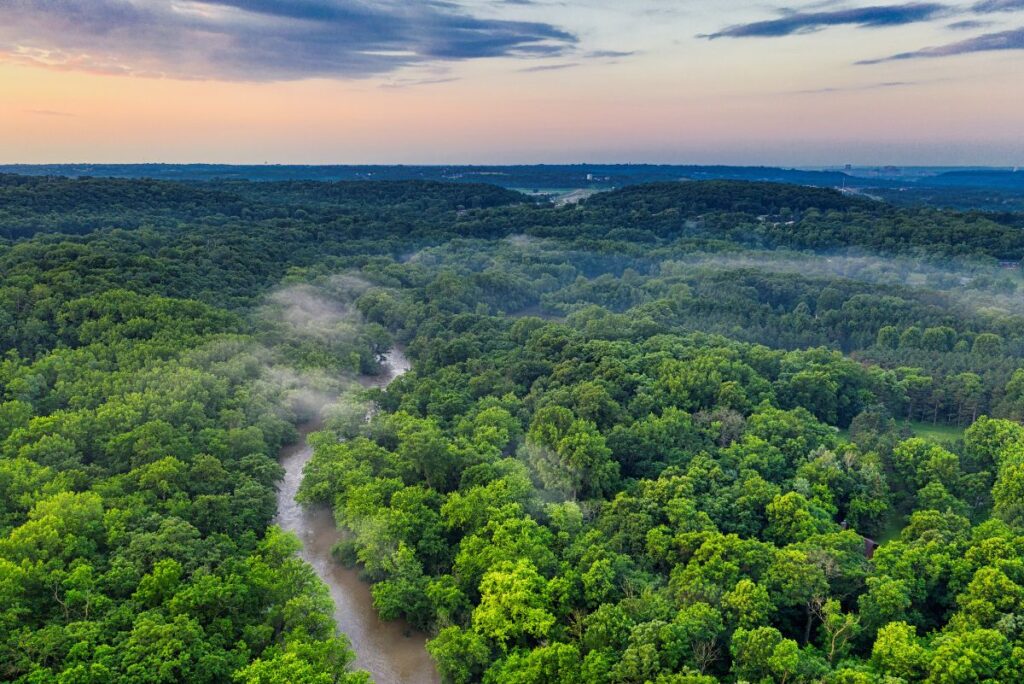 brazilian amazon